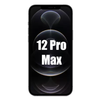 iPhone 12 Pro Max Zubehör
